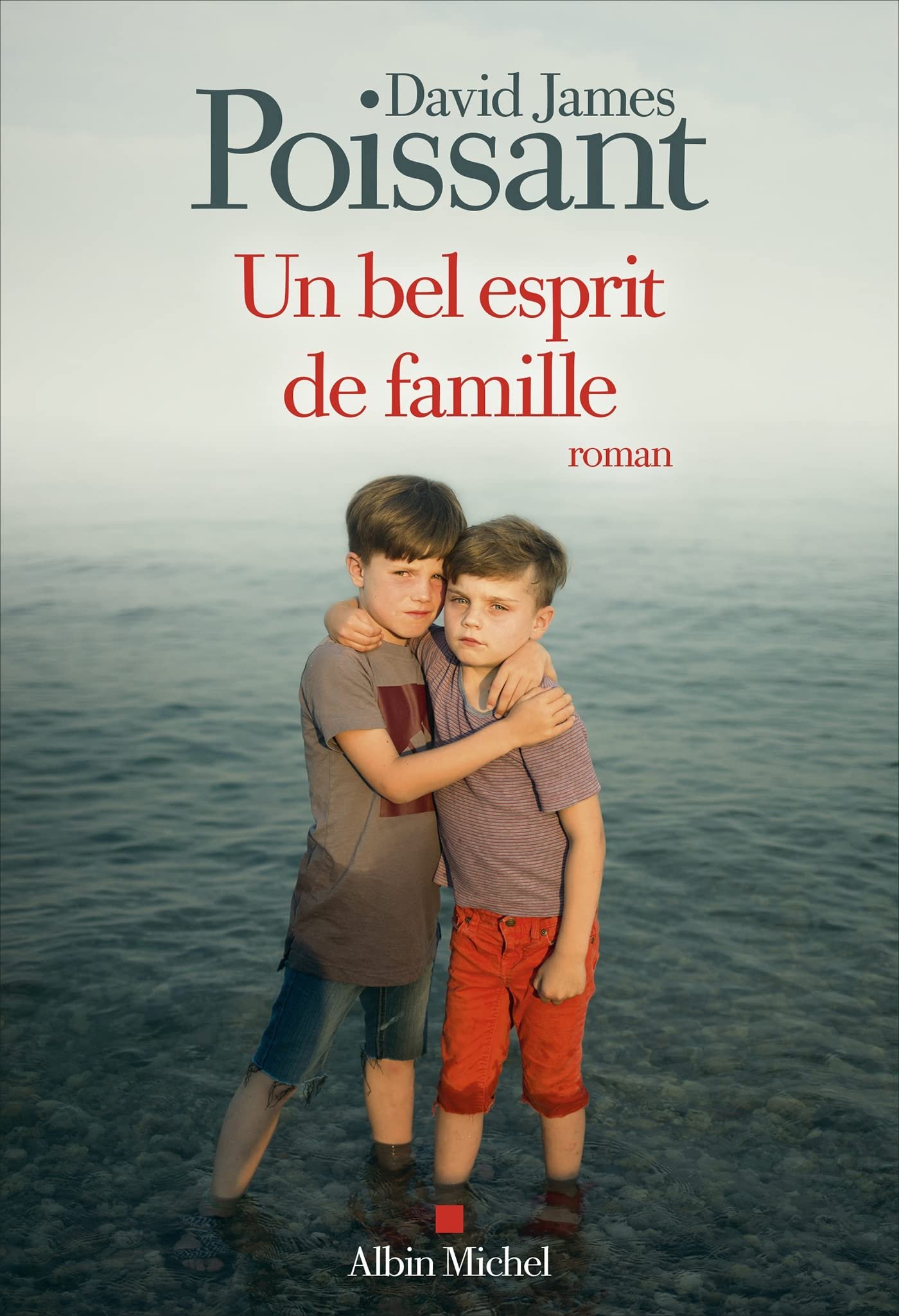 David-James Poissant – Un bel esprit de famille