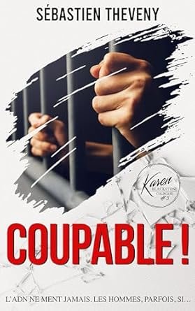 Sébastien Theveny - Coupable !
