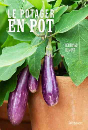 Bertrand Dumont – Potager en pot