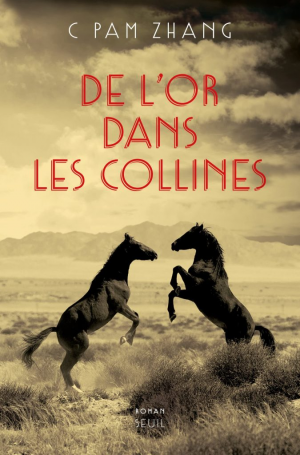 C Pam Zhang – De l’or dans les collines