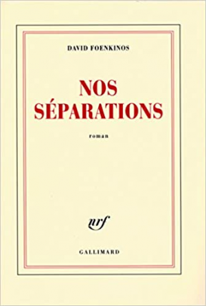 David Foenkinos – Nos séparations